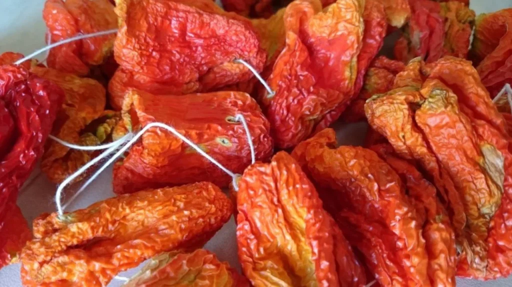 comprar pimento seco turco buy turkish dried bell pepper